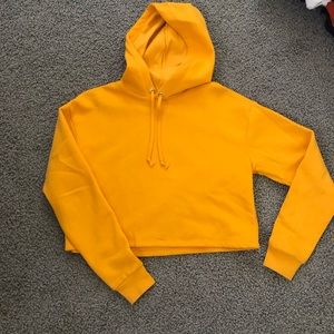 Golden Cropped Sweatshirt